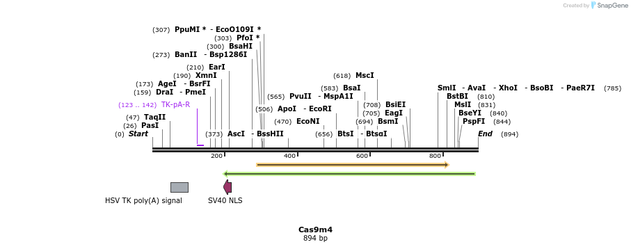 68938_map