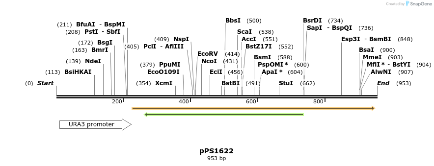 68944_map