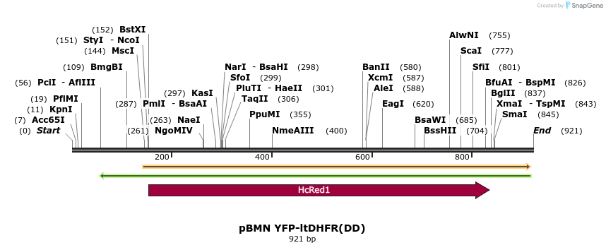 68949_map