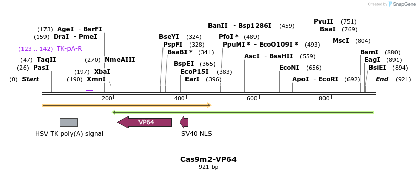 68953_map