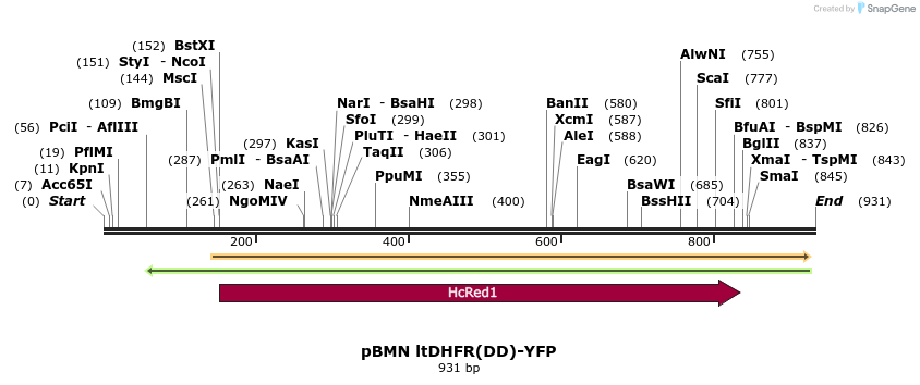 68954_map
