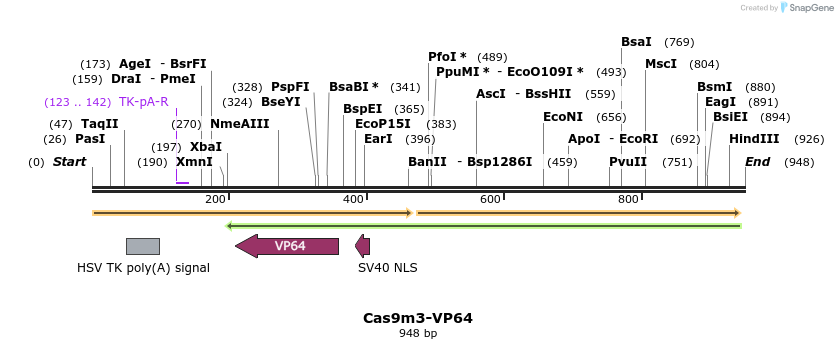 68956_map
