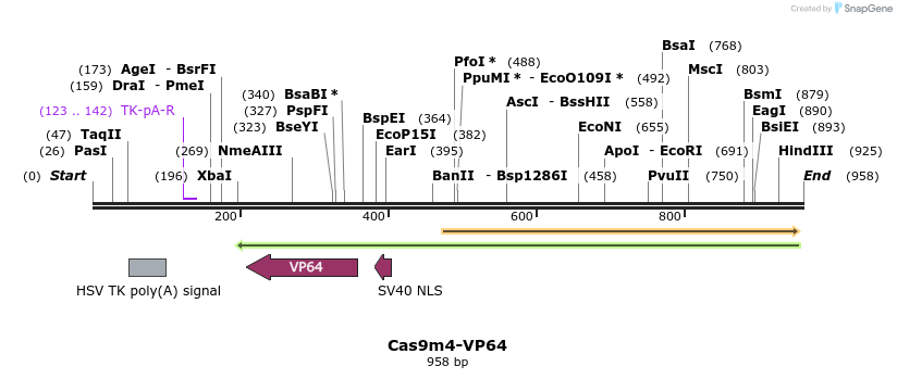 68958_map
