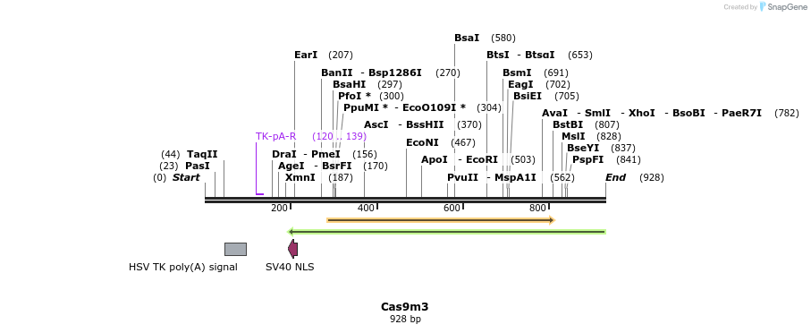 68964_map