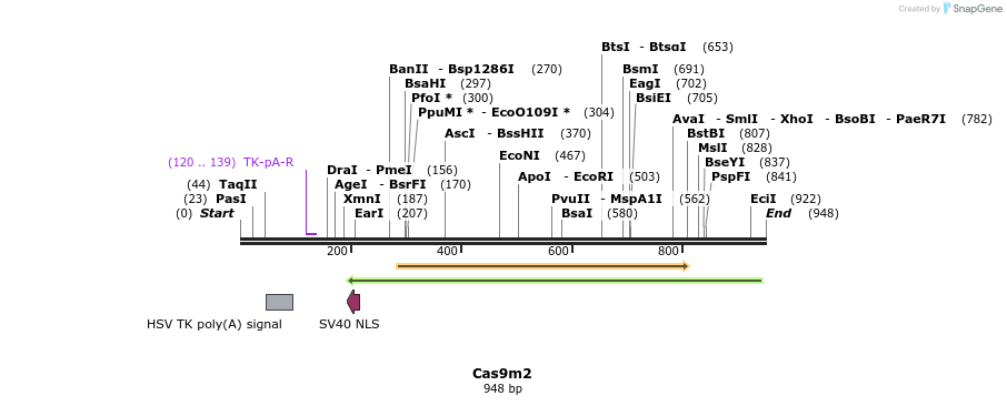 68966_map