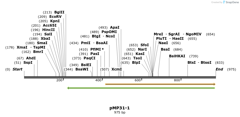 68968_map