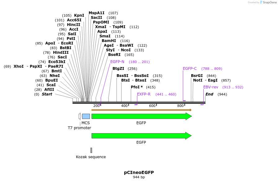 68970_map