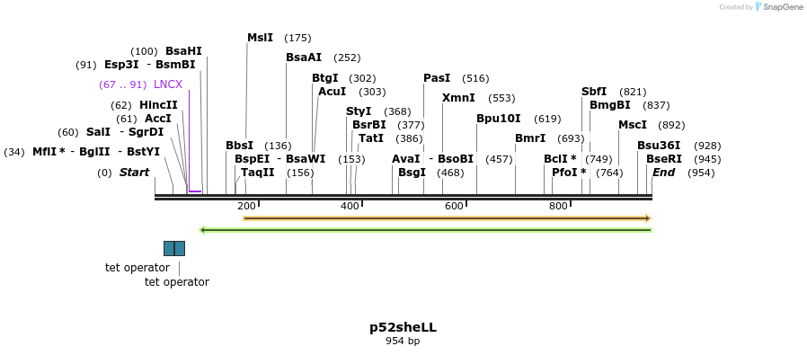 68971_map