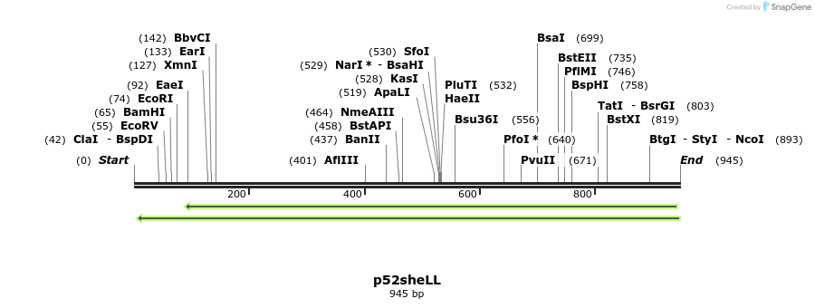 68972_map
