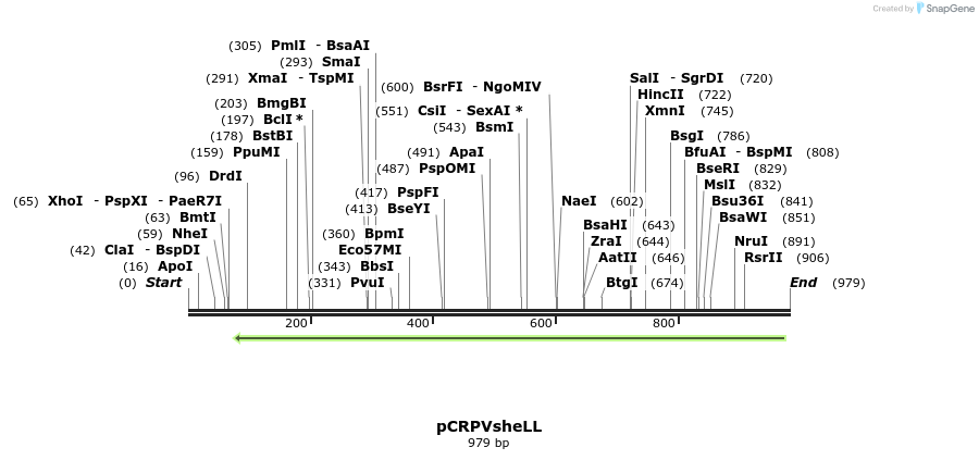 68974_map