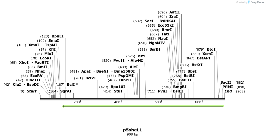 68975_map