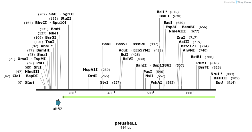 68977_map