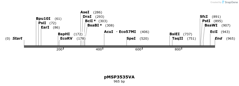 68981_map