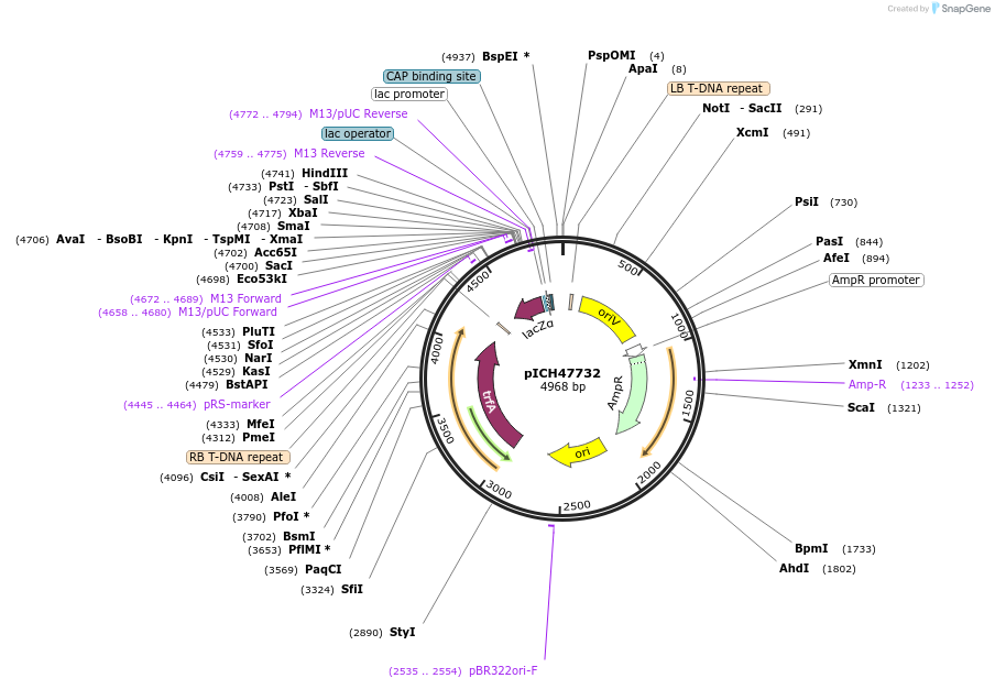 48000-plasmid-map-sequence-id-69000