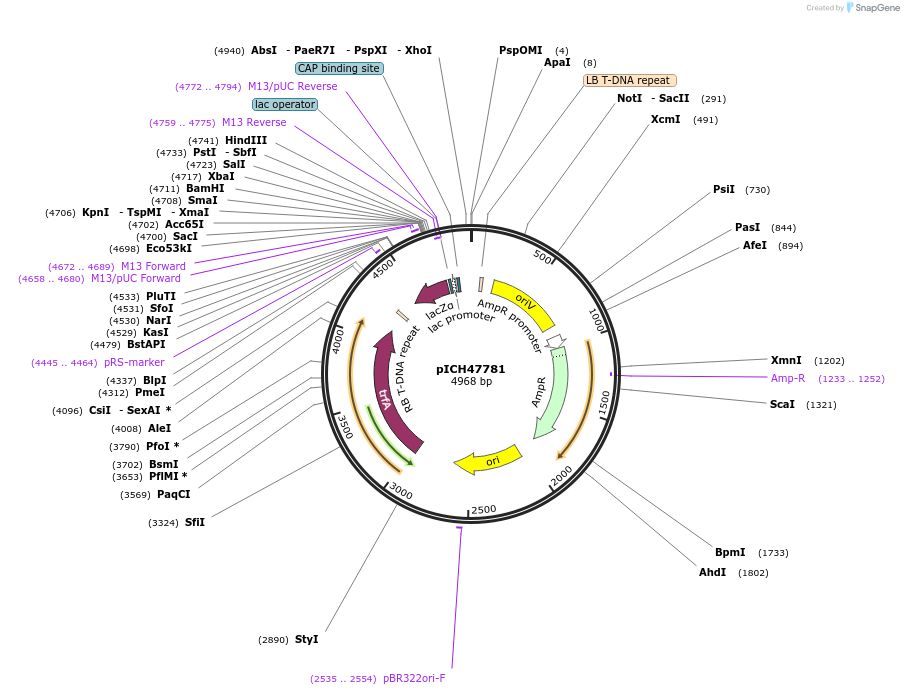 69005_map