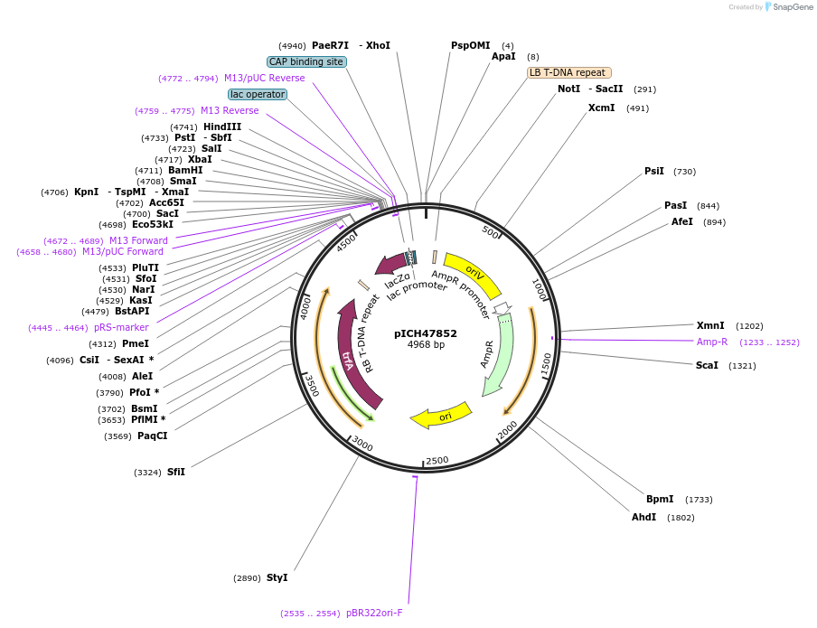 69012_map