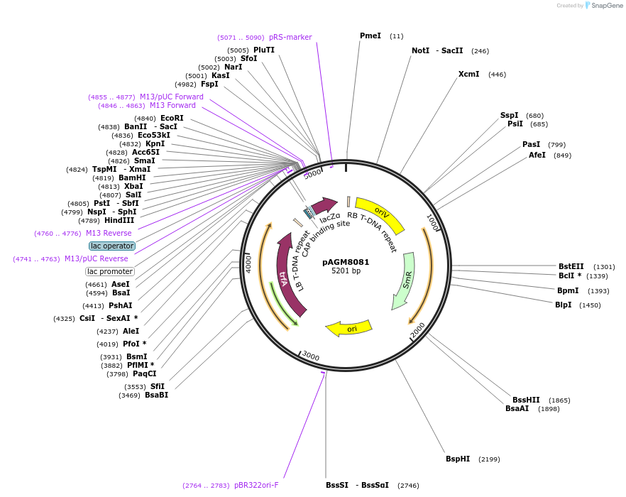 69042_map