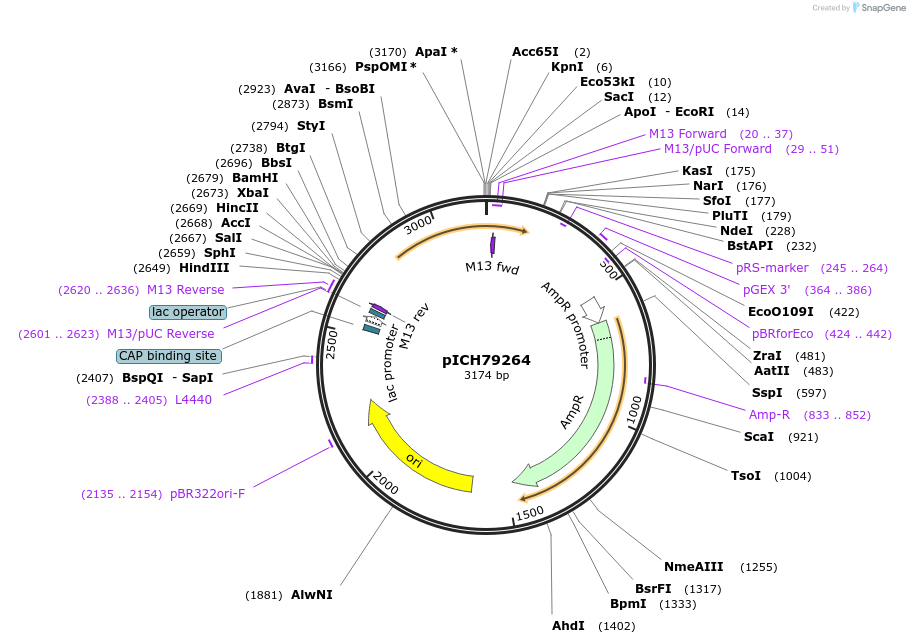 48059-plasmid-map-sequence-id-69059
