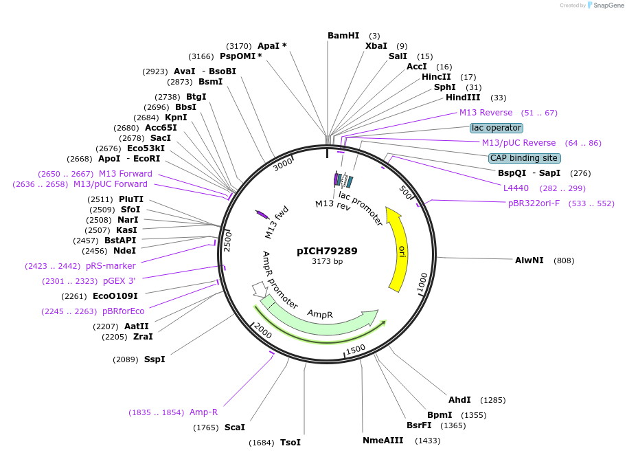 48061-plasmid-map-sequence-id-69061
