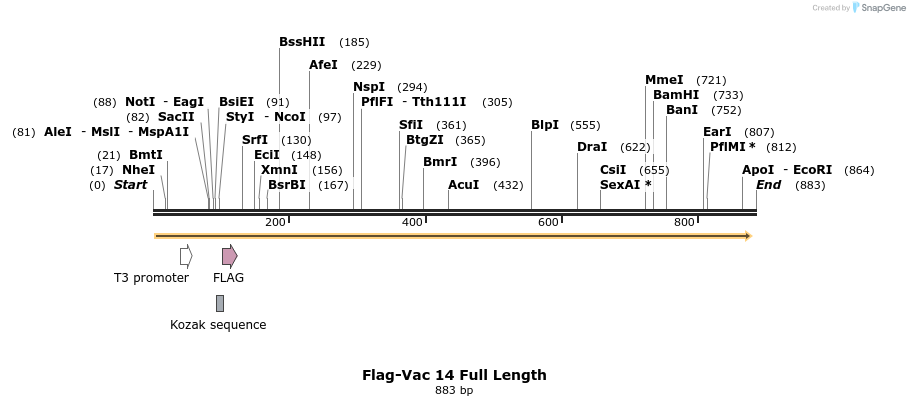 69080_map