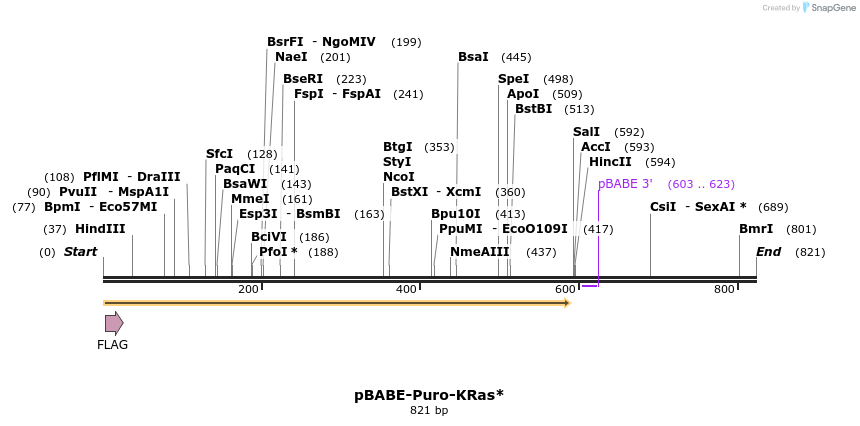 69082_map