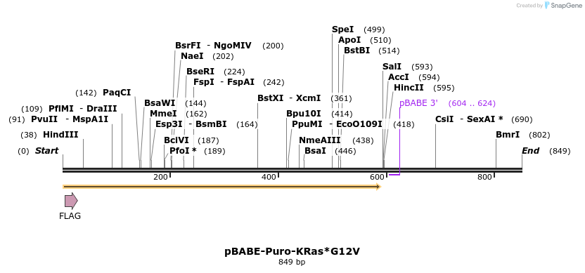 69084_map