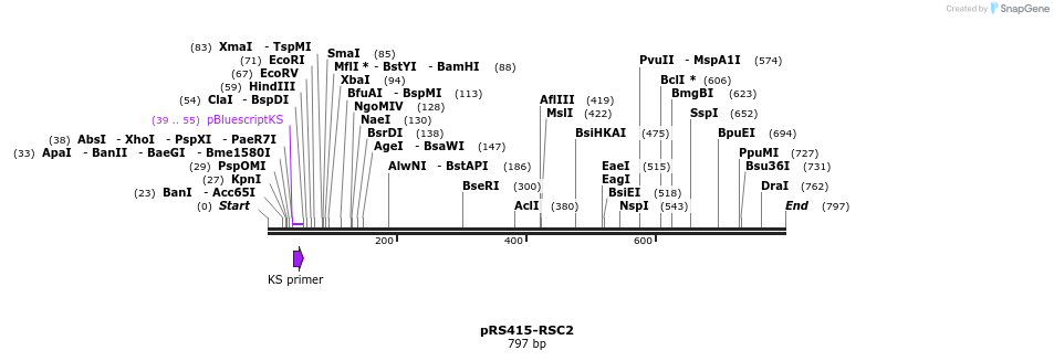 69085_map