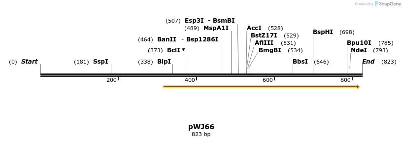 69088_map