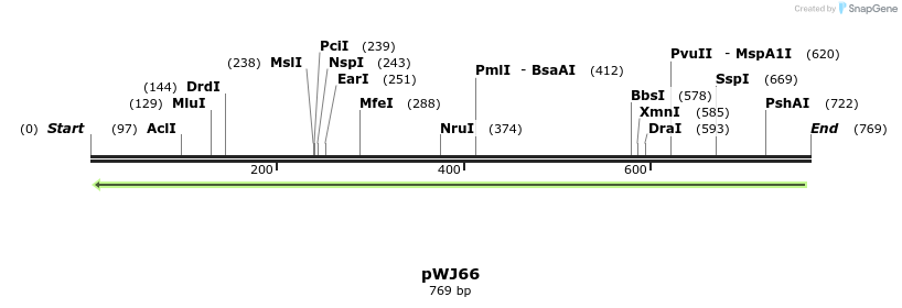 69097_map