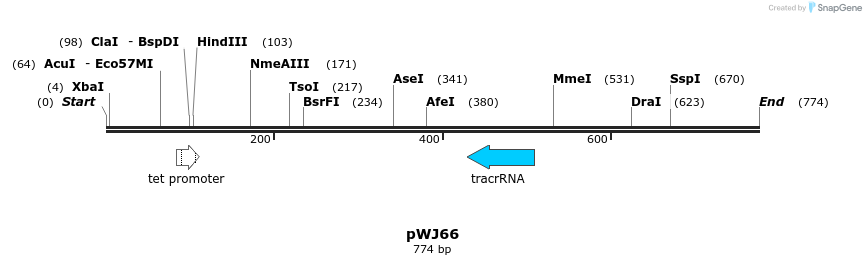 69101_map