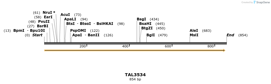 69104_map