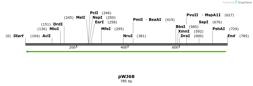 69115_map