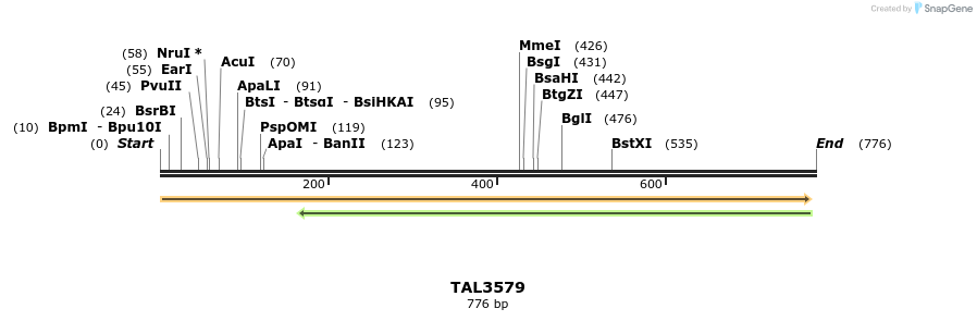 69116_map