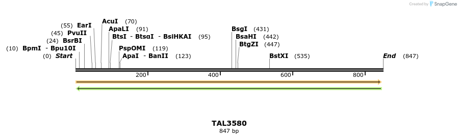 69117_map