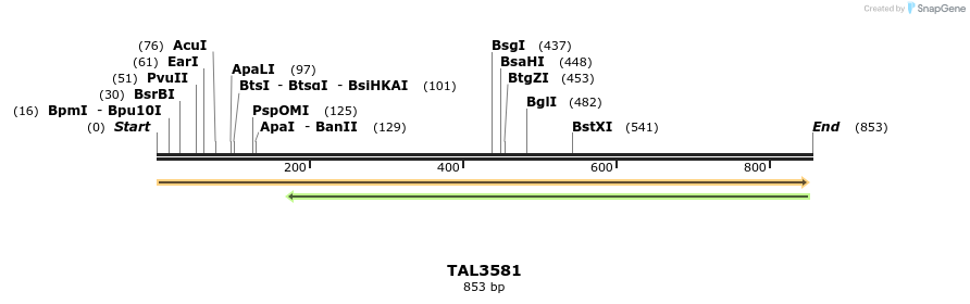 69118_map