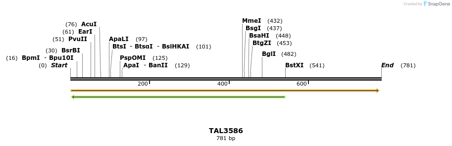 69124_map