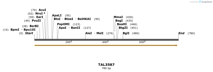 69125_map