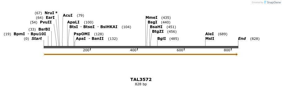 69128_map