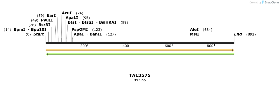 69131_map
