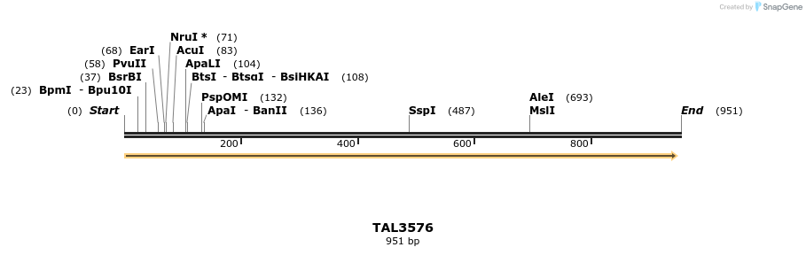 69132_map