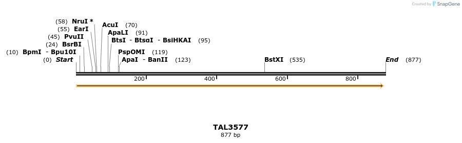 69133_map