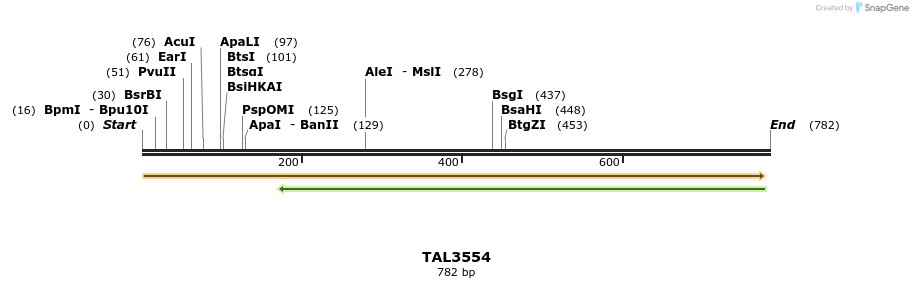 69137_map
