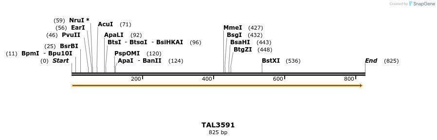 69142_map