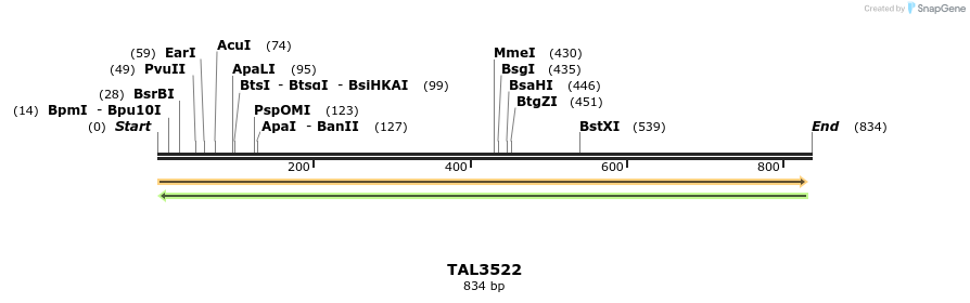 69145_map