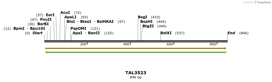 69146_map