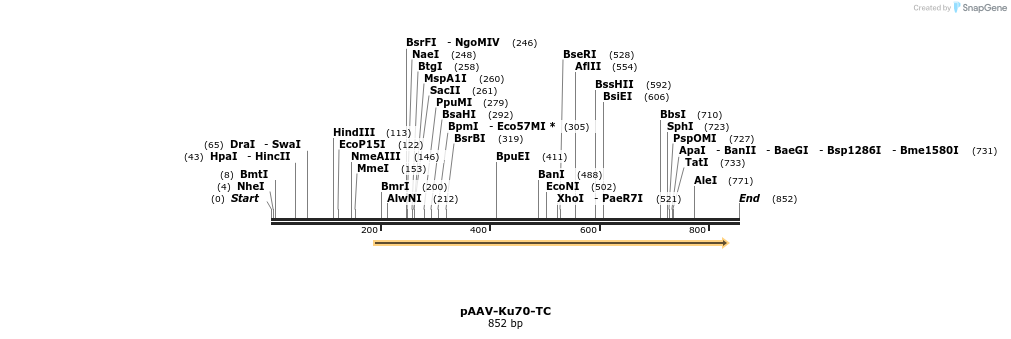 69148_map