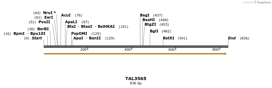 69149_map