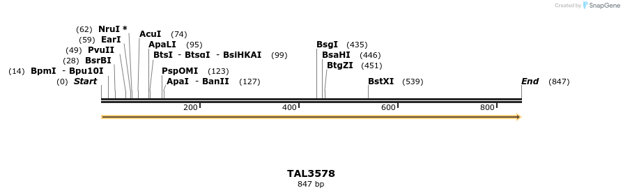 69151_map