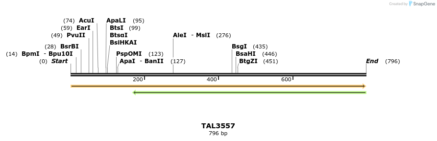 69152_map