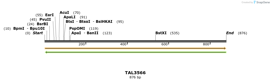 69153_map